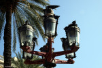 Barcelona Plaza Reial 2